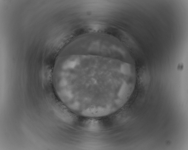 X0000110760276200907061102