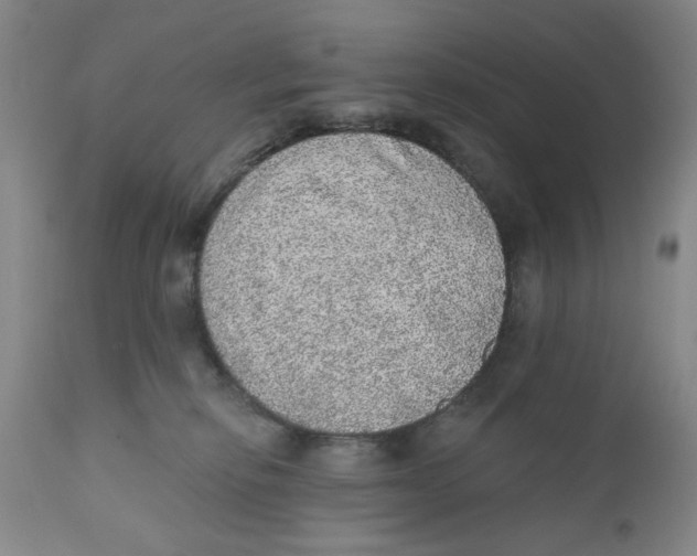 X0000110760278200907061102