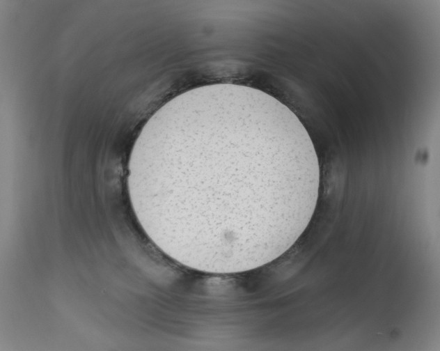 X0000110760279200907061102