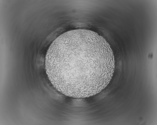 X0000110760281200907061102