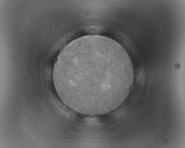 X0000110760283200907061102