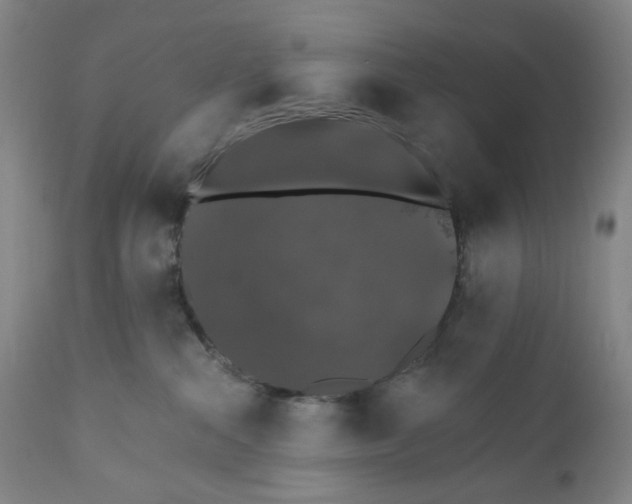 X0000110760284200907061102