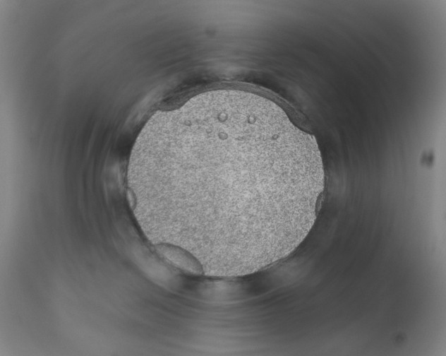 X0000110760286200907061102