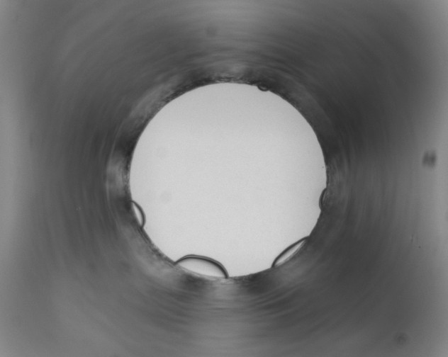 X0000110760287200907061102