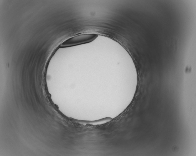 X0000110760289200907061102