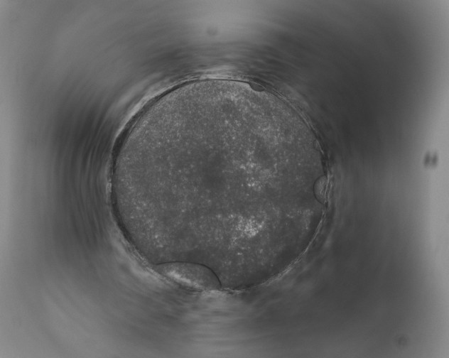 X0000110760290200907061102