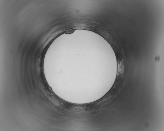 X0000110760291200907061102