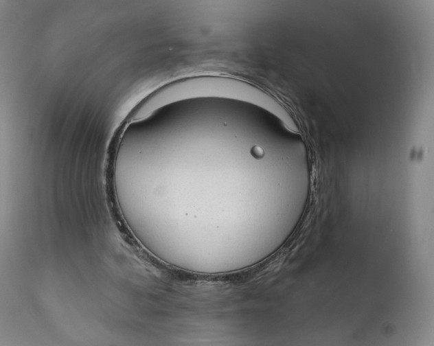 X0000110760292200907061101