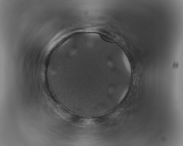 X0000110760295200907061101