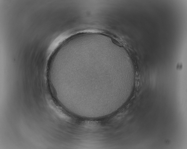X0000110760296200907061101