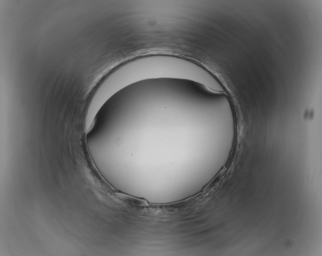 X0000110760297200907061101