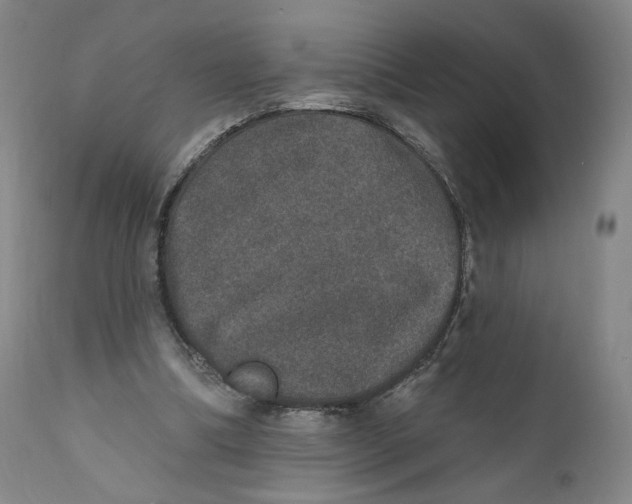 X0000110760298200907061101