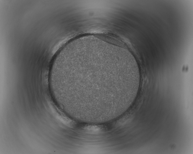 X0000110760299200907061101