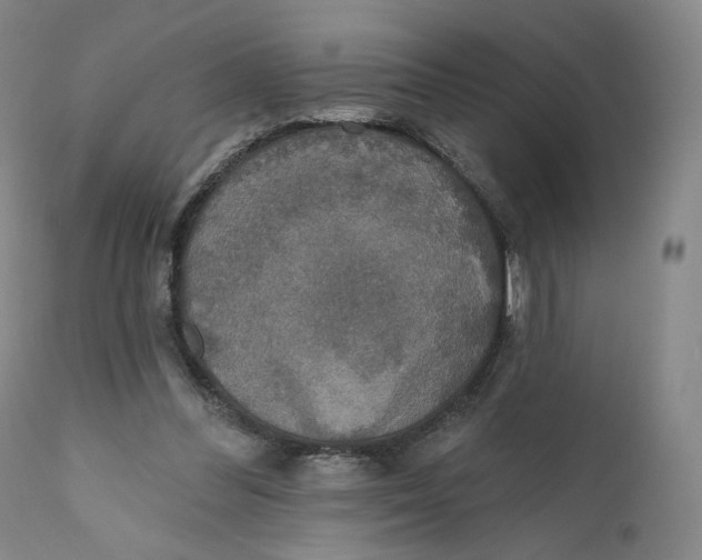 X0000110760300200907061101