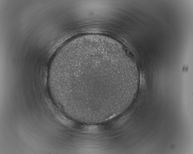 X0000110760301200907061101