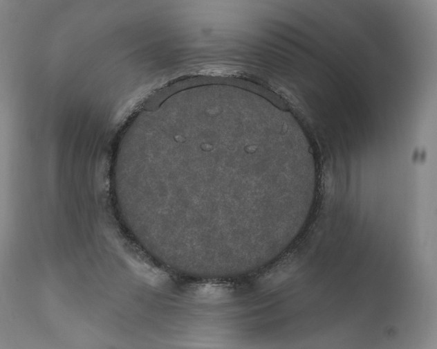 X0000110760303200907061101