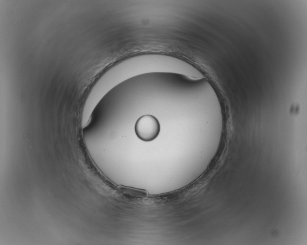 X0000110760305200907061101