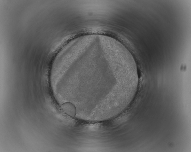 X0000110760306200907061101