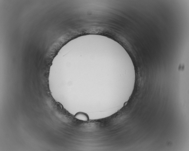 X0000110760307200907061101