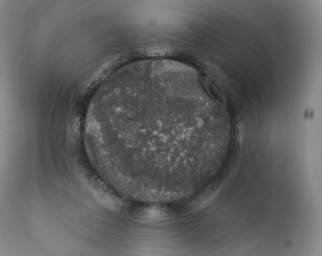 X0000110760308200907061101