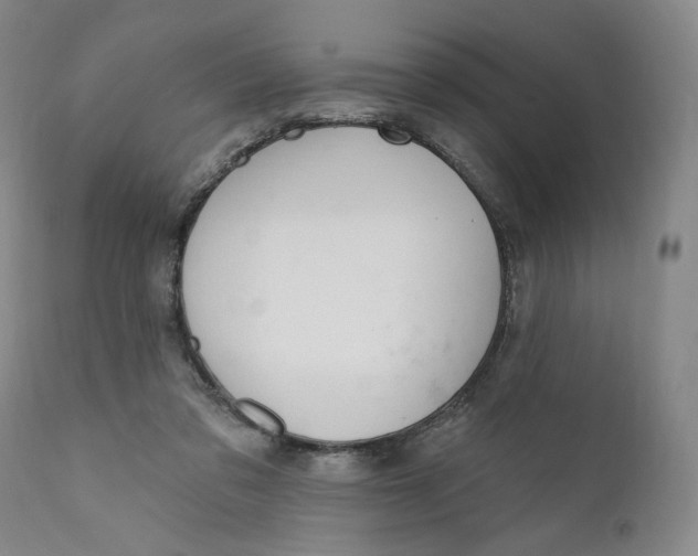 X0000110760309200907061101