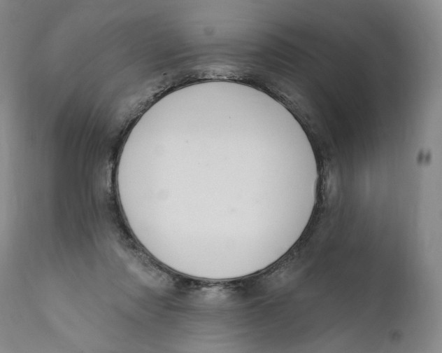 X0000110760310200907061101