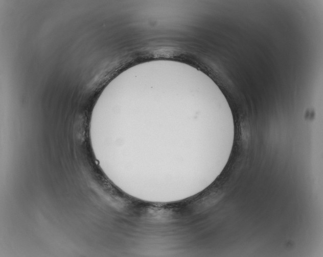 X0000110760311200907061101