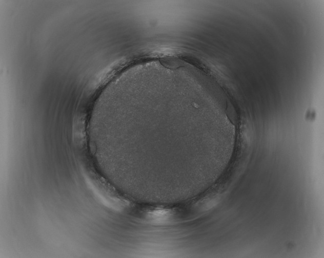 X0000110760312200907061101