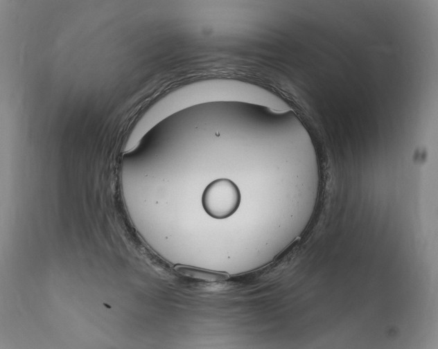 X0000110760313200907061101