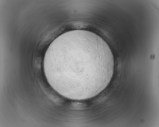X0000110760315200907061101