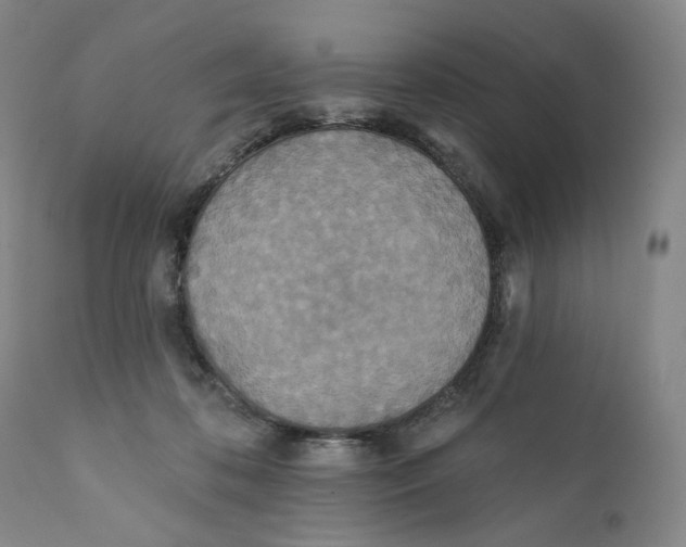 X0000110760316200907061101