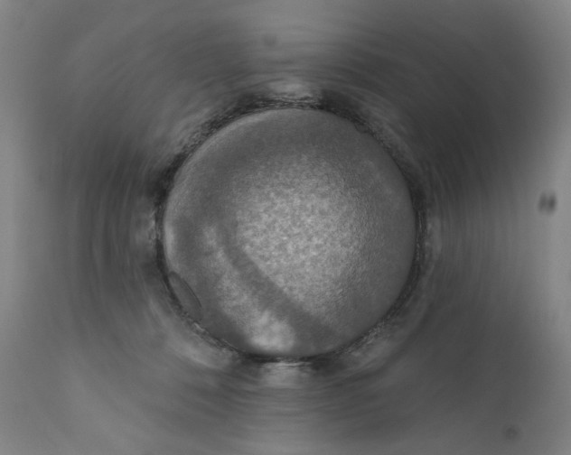 X0000110760320200907061101