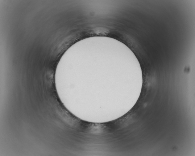 X0000110760321200907061101