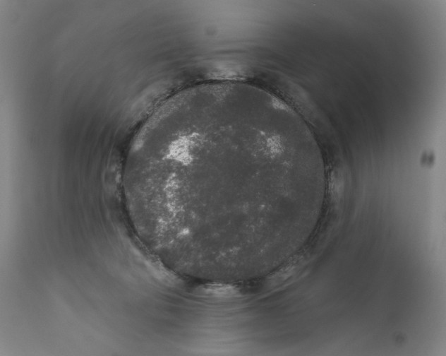 X0000110760322200907061101