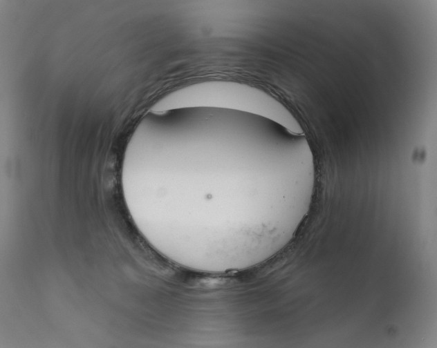 X0000110760323200907061101