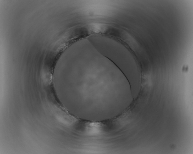 X0000110760324200907061101