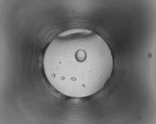 X0000110760325200907061101