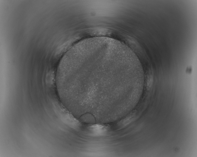 X0000110760326200907061101