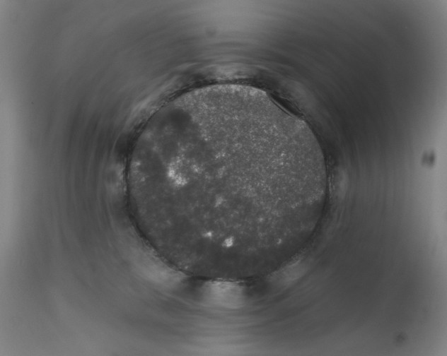 X0000110760327200907061101