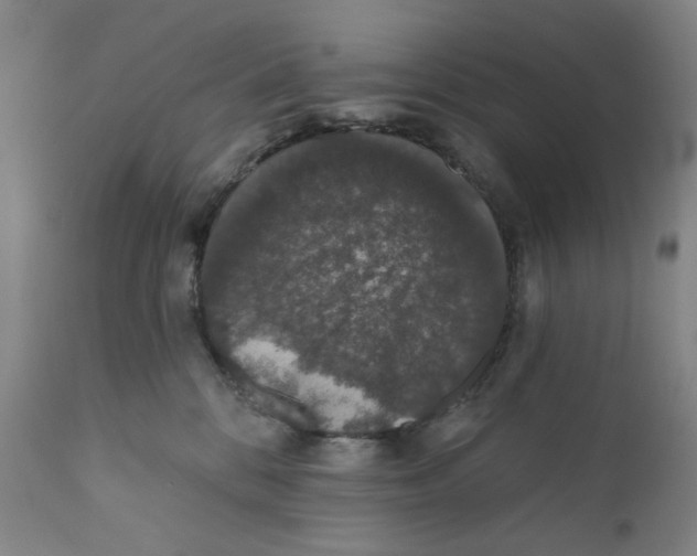 X0000110760328200907061101