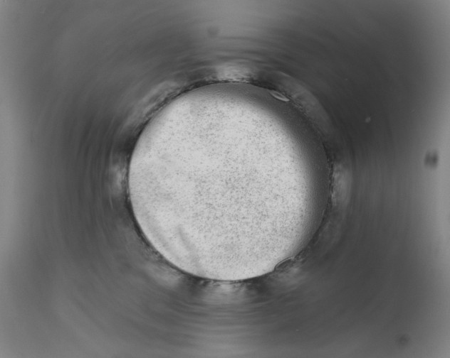 X0000110760329200907061101