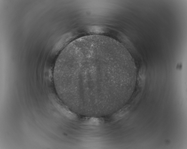 X0000110760330200907061101