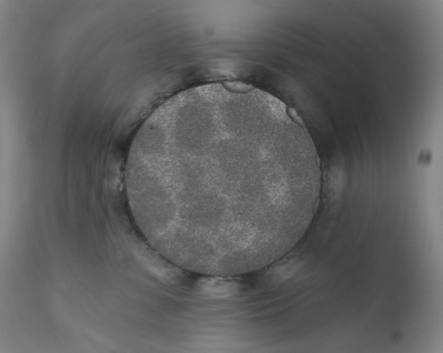 X0000110760331200907061101