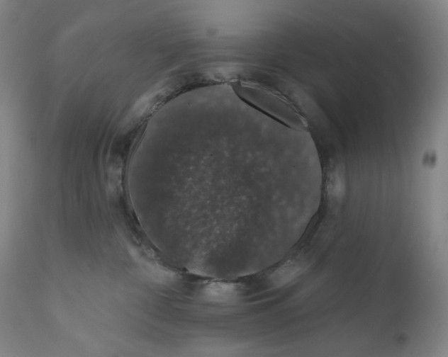 X0000110760332200907061101