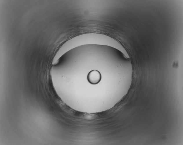 X0000110760333200907061101