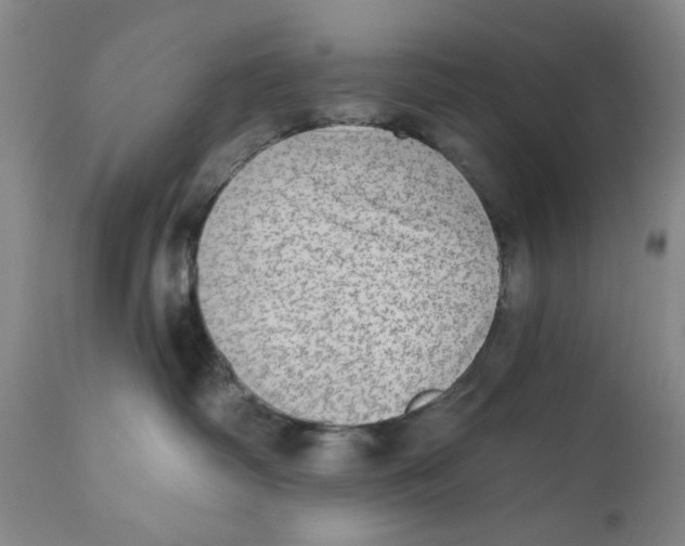 X0000110760334200907061101