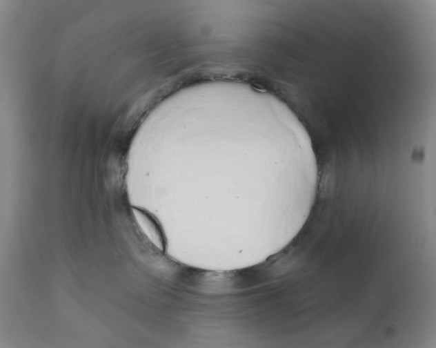 X0000110760335200907061101
