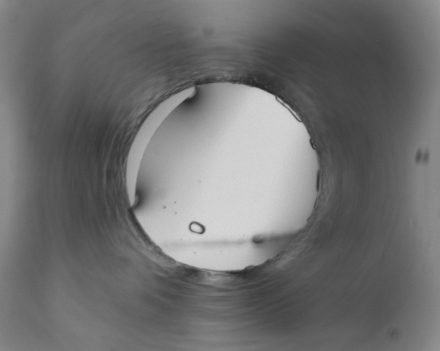 X0000110760336200907061101