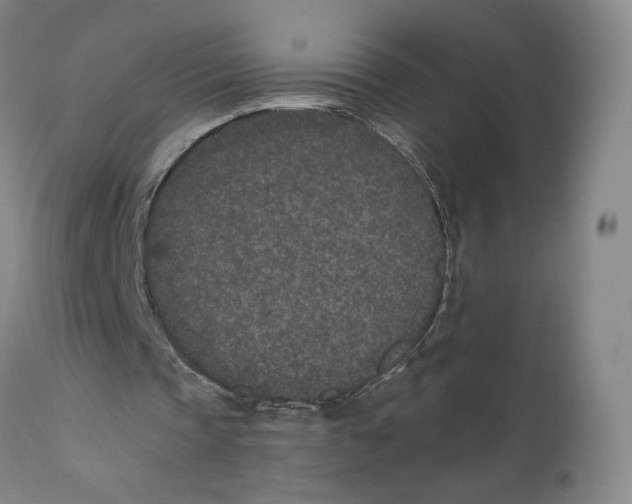 X0000110760337200907061100
