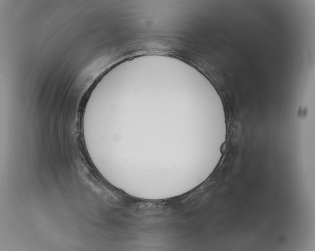 X0000110760338200907061100